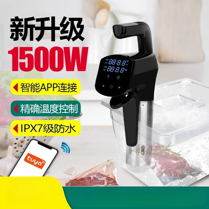 110V/220V Commercial Sous Vide - огляд і ціна Home Cooking Steak