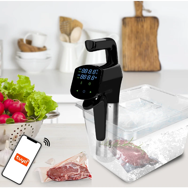 110V/220V Commercial Sous Vide - огляд і ціна Home Cooking Steak
